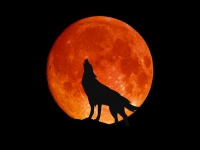 今年一番大きな満月！5月26日はスーパームーンで皆既月食