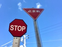 写真映えもバッチリ？！（画像は公式ツイッターより）