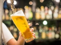 ラガービールに健康効果。アルコールの有無にかかわらず男性の腸内細菌を豊かにするという研究結果