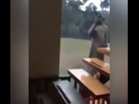 誰かが激しく窓を叩くと思ったら・・・カンガルーだった！　一部始終を捉えた動画がまるでパニック映画！