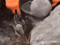 古代メキシコの遺跡でハート形に変形させた頭蓋骨が発見される