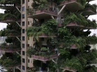 「都会のオアシス」をテーマに建設されたマンション、蚊の襲来で住民が相次いで退去。終末的光景に（中国）
