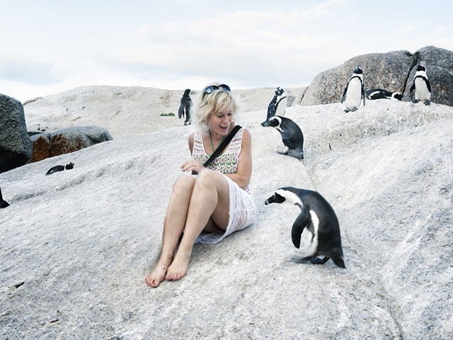 iStock_000076032487_Medium