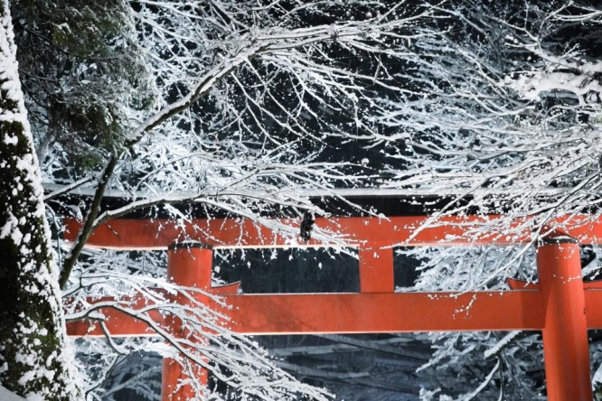 貴船神社 （＠kifunejinja）の公式アカウントより