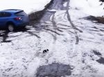 駐車場にいるワンちゃんが危ない！　→そこに助けにきたのは…？