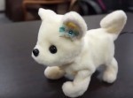 クサすぎたら気絶！？　臭気検知ロボット犬『はなちゃん』