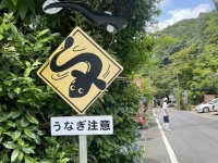 滋賀の路上で「うなぎ注意看板」発見される　いったい何事？設置者に聞くと...