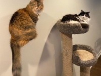 奇跡のタイミングで錯視効果炸裂。不思議と謎に満ち溢れた12枚の写真