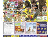 有限会社 Coo&amp;RIKUのプレスリリース画像