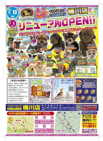 有限会社 Coo&amp;RIKUのプレスリリース画像