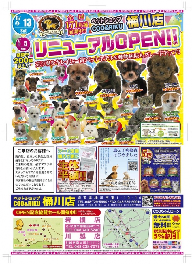 有限会社 Coo&amp;RIKUのプレスリリース画像