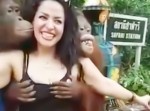 おっぱいモミモミ…　オランウータンが興奮して“観光客の美乳”を揉みしだく！