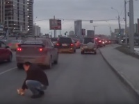 危機一髪！ 車にひかれる寸前の子猫をドライバーが救出