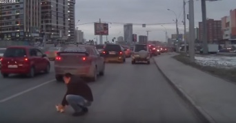 危機一髪！ 車にひかれる寸前の子猫をドライバーが救出