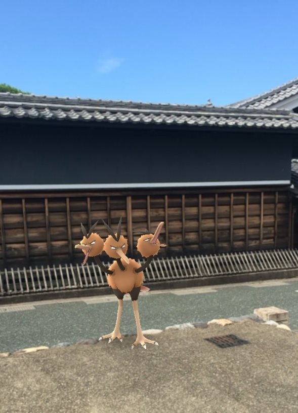 美濃市内に出現したドードリオ（画像提供：美濃市観光協会）