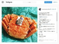 「目黒のさんま」的な話ではない（画像は佐々木希さんのインスタグラム）