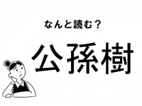 【難読】なにこれ！？「公孫樹」の正しい読み方