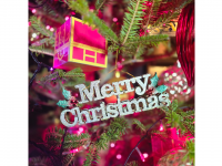 株式会社ニジゲンノモリのプレスリリース画像