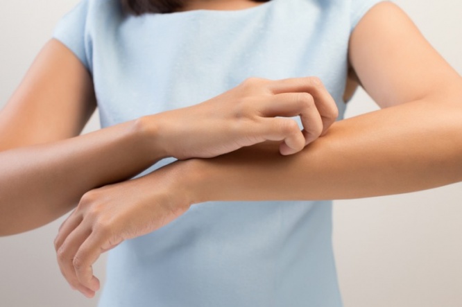 iStock_000062915980_Small