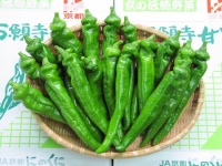 舞鶴市のプレスリリース画像