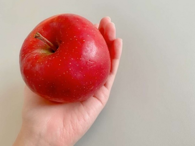 リンゴを集めて渡してくれた（画像はイメージ）