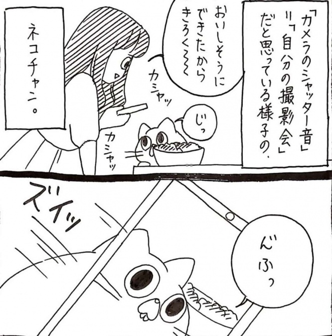 画像はうさぎのみみちゃん@usagitoseinoさんのツイートより