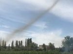 ぞわぞわする…！　大量に群がるユスリカが旋風に集まり…