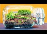 初心者必見！　海外ユーチューバーの「テラリウム」ハウツー動画が分かりやすい！