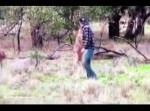 犬を助けるため、男性がカンガルーとボクシングを展開！