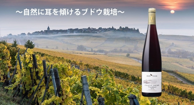 株式会社キングジャパンのプレスリリース画像