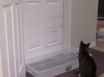 ドアを開ける猫をこらしめるための対処法【動画】