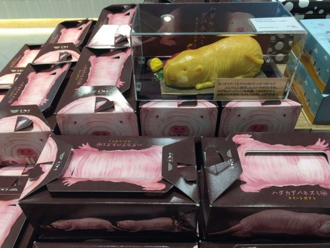 箱にもハダカデバネズミが(画像はAQUARUMU×ART átoa 提供)