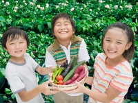 住友化学園芸株式会社のプレスリリース画像
