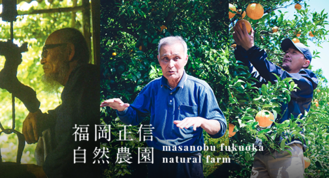 株式会社　日本総合園芸のプレスリリース画像