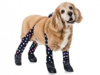 犬だって寒かろう。靴と一体化して脚全体を覆う「犬用レギンス」が誕生していた（アメリカ）