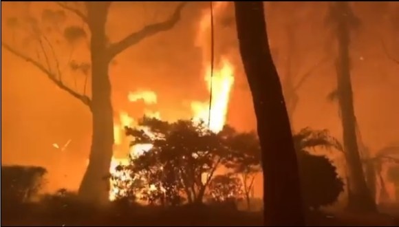 メタリカやエルトン・ジョンなど多くのセレブたちがオーストラリアの森林火災に多額の支援