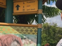 MCを務める有吉弘行の公式インスタグラムより