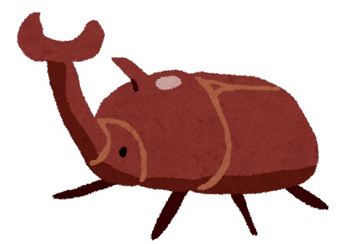 カブトムシ