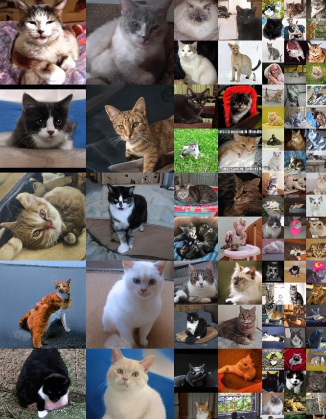 nvidia-ai6