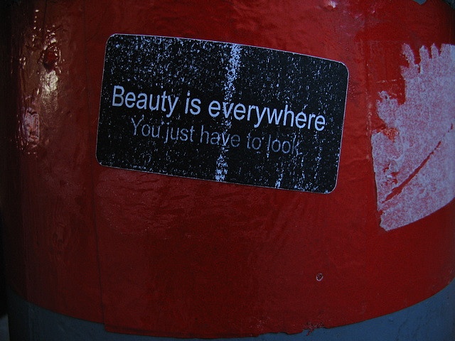 Beauty is everywhere