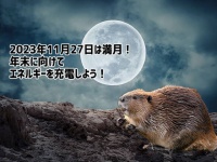 2023年11月27日は満月！月をiPhoneで美しく録る方法も