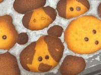むっちゃかわいい動物クッキーができる...はずだった　だけど生まれた〝ありえない姿〟に7.7万人爆笑