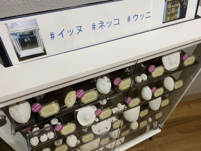 犬、猫に並んでウニ...？