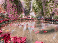 【メルヘン】夢のようなお花畑が日本にもあった！　「おとぎ話の中に入ったかのよう」「楽園じゃん」とツイ民も大興奮