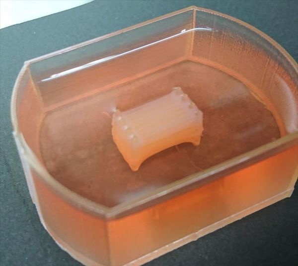 サイコロステーキ状の培養肉