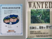 動物を発見したら証明書がもらえる（画像は黒部峡谷鉄道提供）