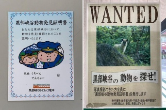 動物を発見したら証明書がもらえる（画像は黒部峡谷鉄道提供）