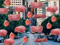 肉が空から降って来た！「ケンタッキー肉の雨事件」の謎