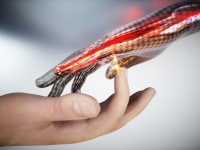 痛みや刺激を認識する電子人工皮膚が開発される（オーストラリア研究）