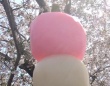 規格外な〝超巨大三色団子〟に20万人驚がく　「もはや鈍器」「魔法少女が使うステッキサイズ」